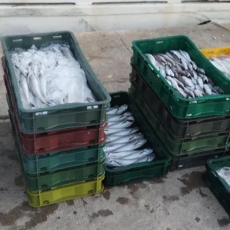 La Casa Del Apartmán